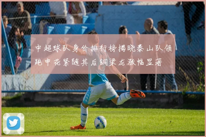 中超球队身价排行榜揭晓泰山队领跑申花紧随其后铜梁龙涨幅显著